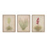 «Desert Flora Triptych» par Paul Meyer
