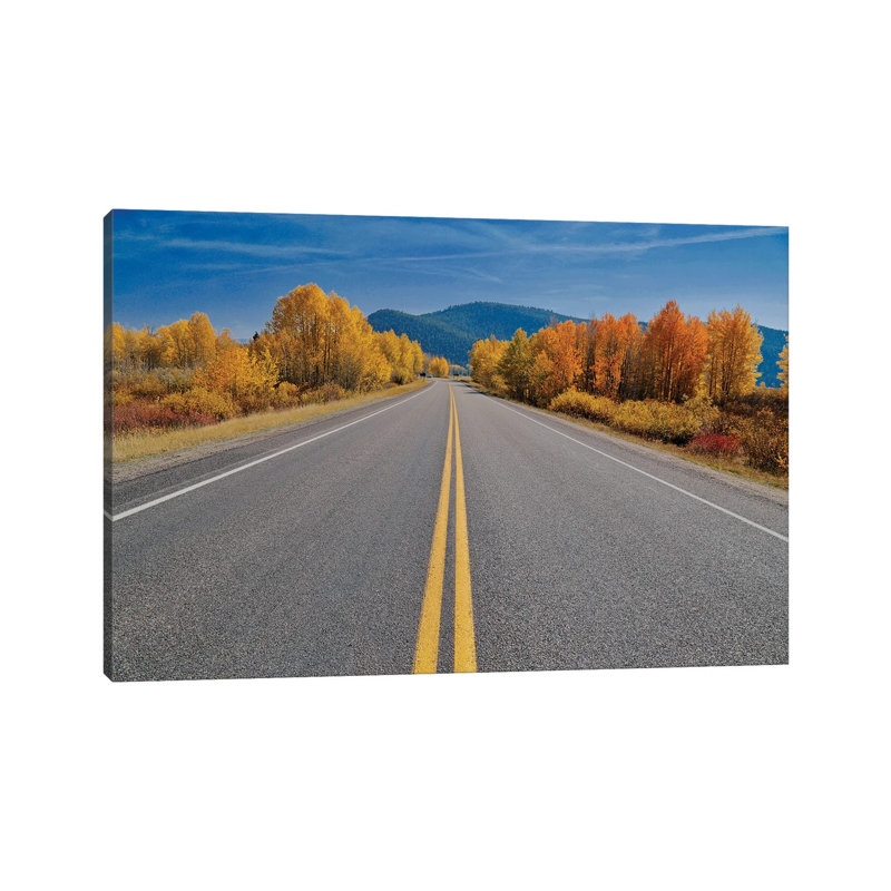 Autumn's Road by Susan Vizvary - Wrapped Canvas Print, 20.32 cm H x 30.48 cm W