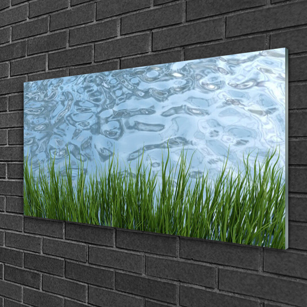 Glasbild Grass Water Nature