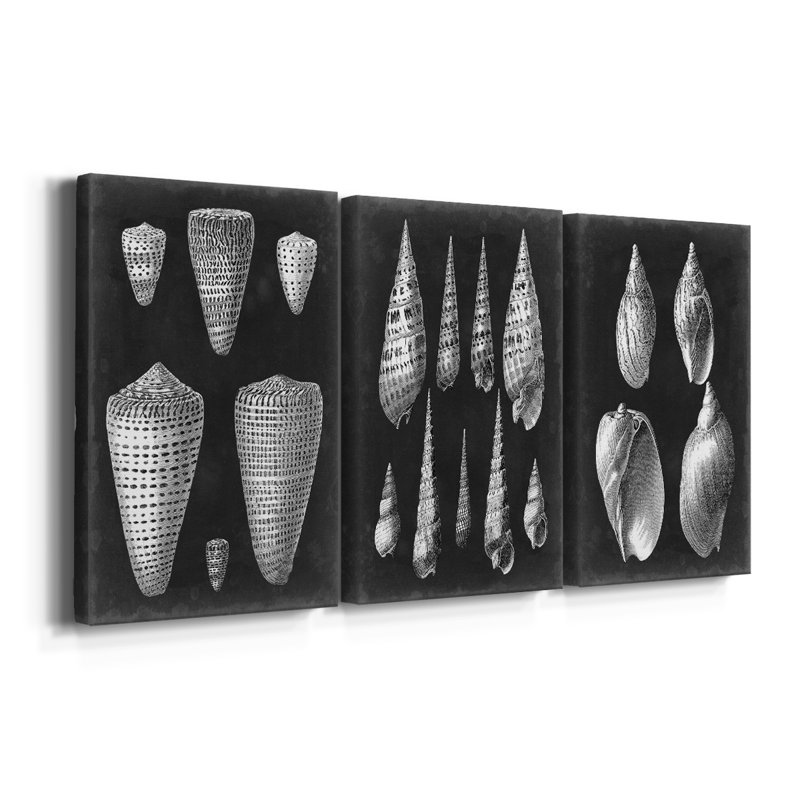 Albâtre coquillages I - Toile tendue avec châssis - 3 pièces, H 12 po x l 24 po