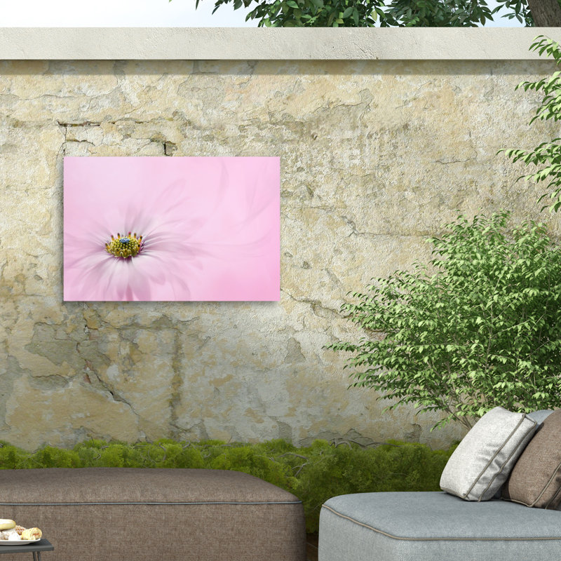 "Douceur sur toile" par Jacky Parker, reproduction, H 22 po x l 32 po