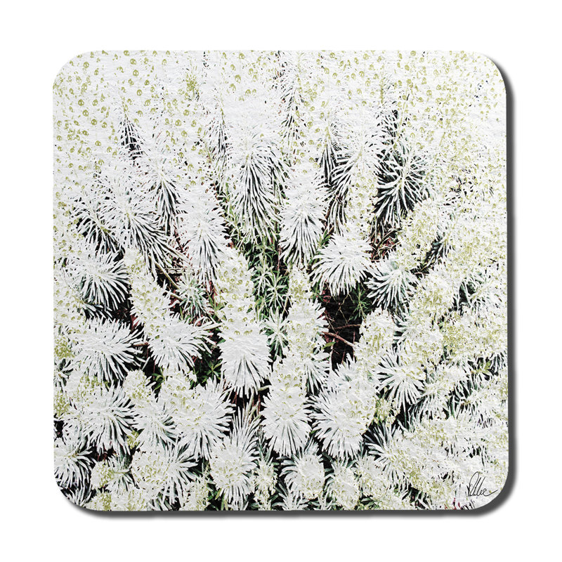 Square 6 Piece Coaster Set