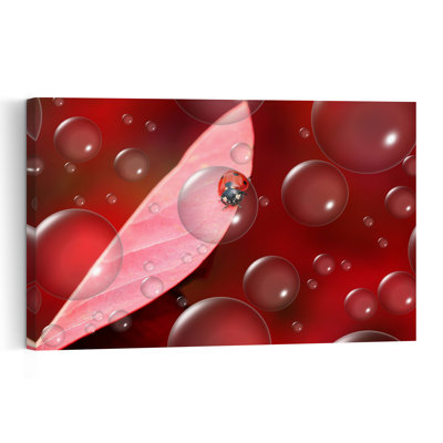 Red Ladybug Bubbles Abstract Vibrant Ladybug Nature Landscape Wall Art Print by Thierry Dufour - Print