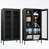 metal frame office storage cabinet with 2 wire mesh doors
