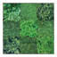 Plants & Flowers Wall Decal