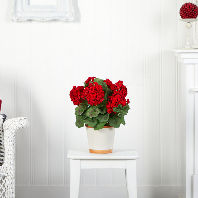 Pièce maîtresse géraniume en vase
