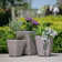 Rattan Planter Set