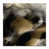 Wrapped Canvas selected