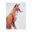 « sly fox », reproduction de peinture à l’aquarelle sur toile tendue-1052798183
