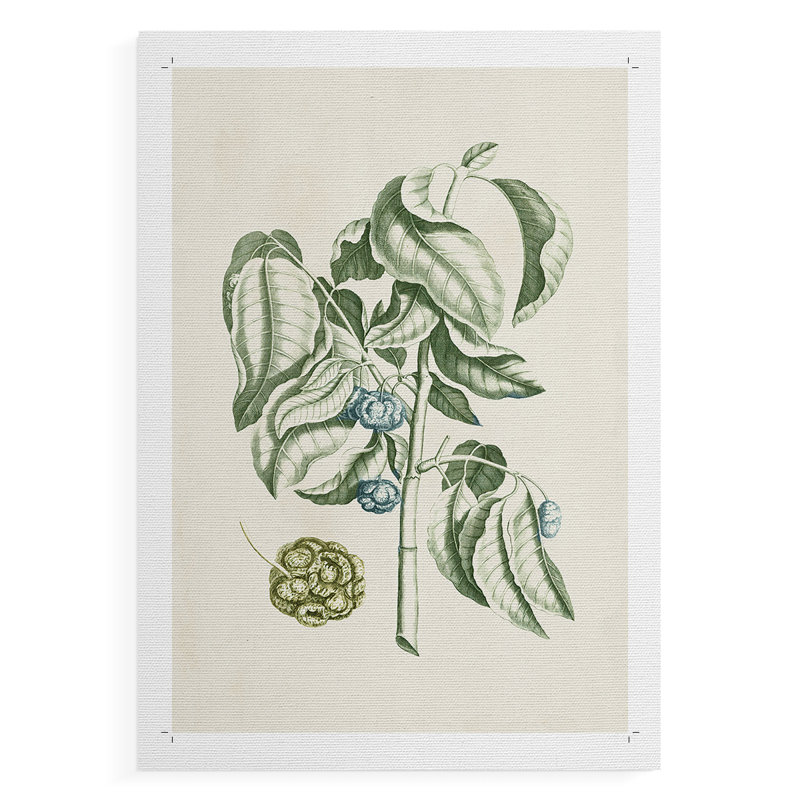 Buchoz Tropicals V - Impression sur toile seulement - NON-CADRE, H 18 po x l 12 po