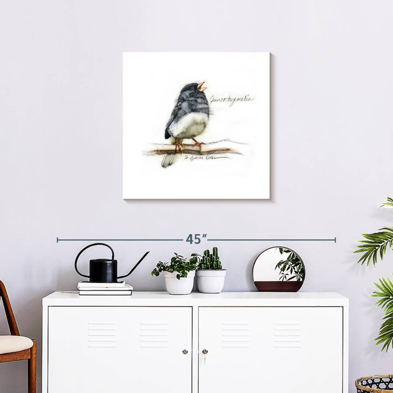 Crowle Junco II, 24" H x 24" W