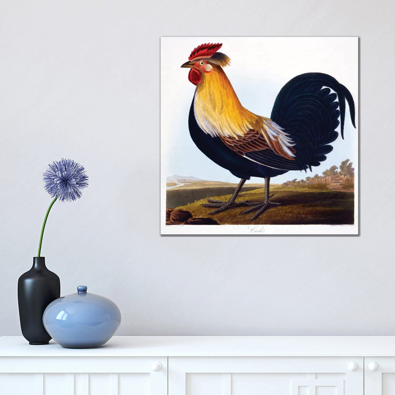 Cock 1 Piece Wrapped Canvas Wall Art, 45.72 cm H x 45.72 cm W
