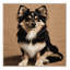  Tapis lavable pour chiens Buhund-670320176