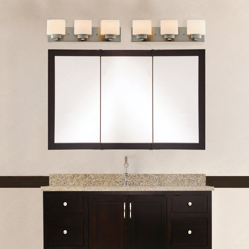 Searle Medicine Cabinet - Bathroom Wall Cabinet with Framed Mirrored Doors, 30" H x 48" W x 6" D, Espresso