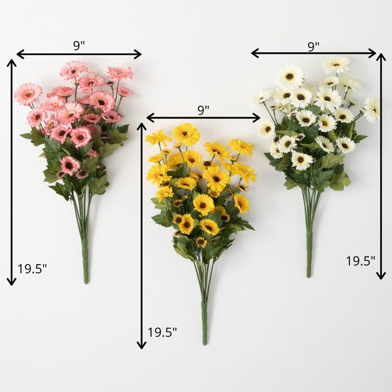 Tiges de marguerite Guisborough