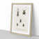 Beetle Illustrations PL.9 by Charles D'Orbigny - Single Picture Frame Print