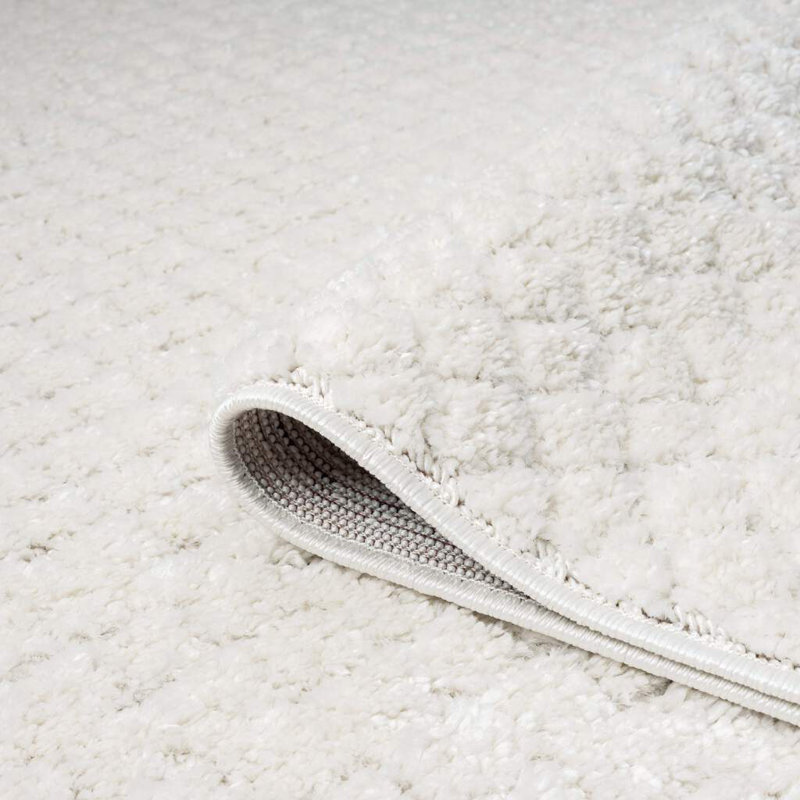 Navdia Rectangular 160 X 230cm Area Rug