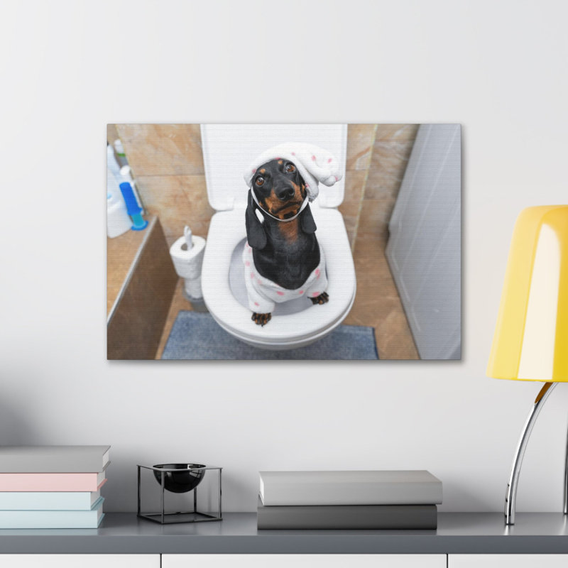 Toile de teckel, formation sur toile en pyjama sur toilette, H 12 po x l 16 po