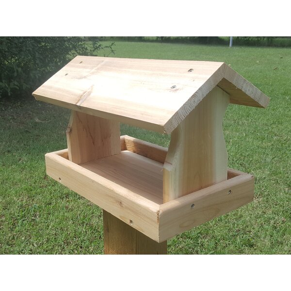 Tucker Murphy Pet™ Verlyn Tray Bird Feeder | Wayfair