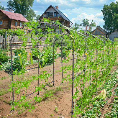 Outdoor Garden Arch Trellis For Climbing Plant Path Frame Firm Fruit Growing Supporter