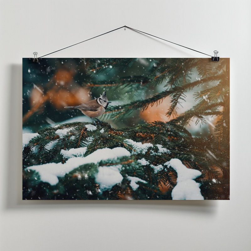 Wrapped Canvas Print, 50.8 cm H x 76.2 cm W