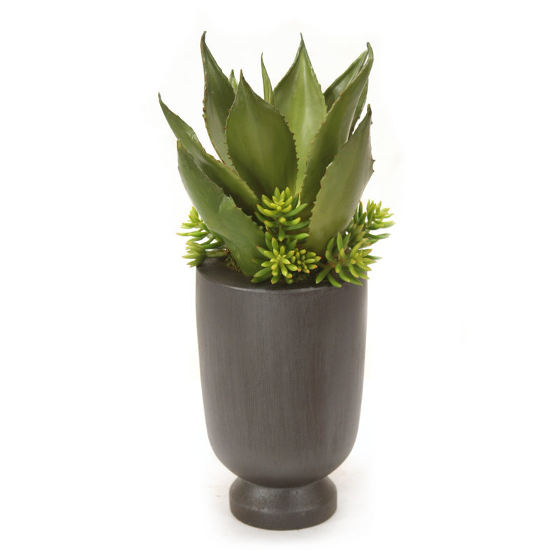 21'' Faux Aloe Plant in Wood Planter