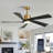 Karlena 52'' Modern Large Ceiling Fan With Led Lights And Remote Control, App, Timer, Memory