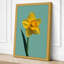 Single Daffodil Botanical - Wrapped Canvas-1550848129-1550848139