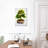 Harnek Colored Bonsai Tree-108380834