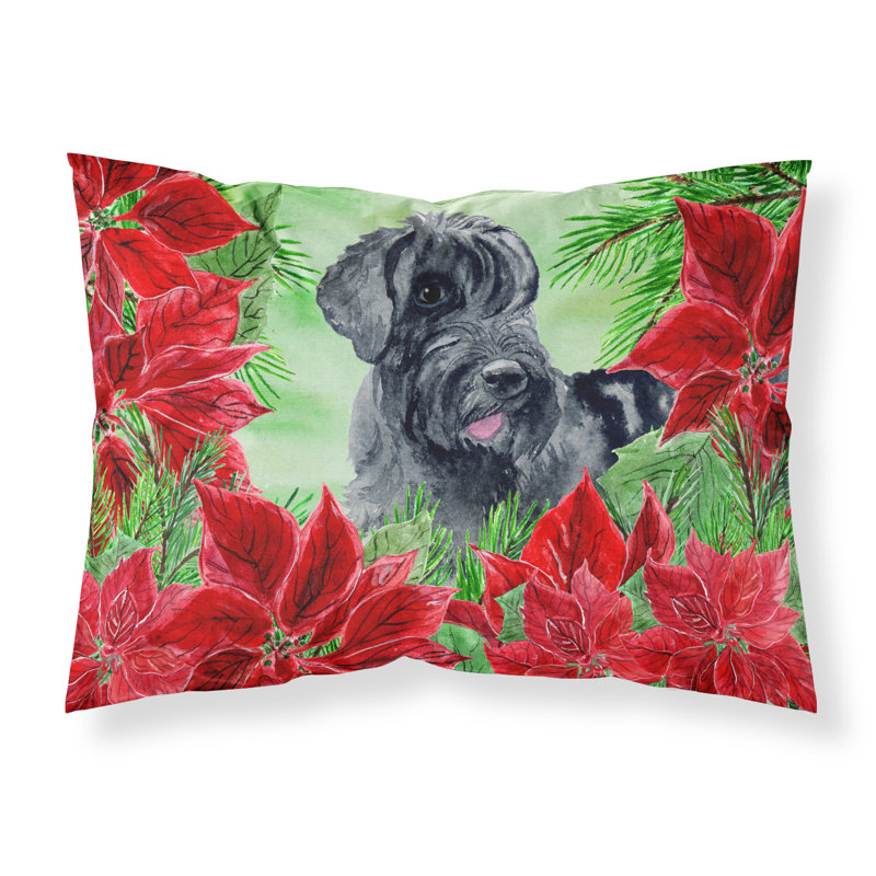 Microfiber, Giant Schnauzer