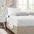 Ultra-Soft Microfiber Comforter Set With Bed Sheets, Yellow And Gray Leaf Print, Queen Size, Hypoallergenic And Antimicrobial-138425037