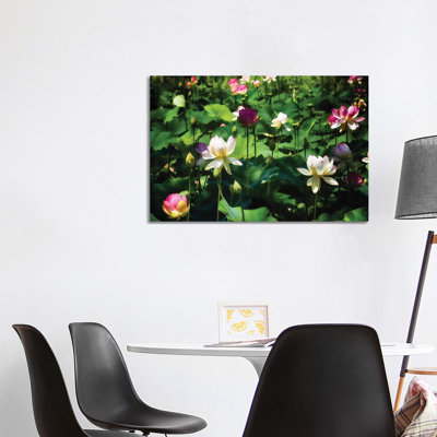 Blooming Lotus Flowers 1 Piece Wrapped Canvas Wall Art
