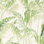 Palm House Wallpaper-50888980
