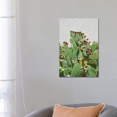 Desert Cactus II by Bethany Young - Gallery-Wrapped Canvas Giclée on Canvas