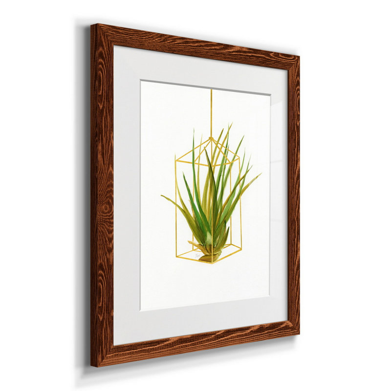«Hanging Airplant II», reproduction d'art sur papier encadrée, H 20 po x l 17 po x P 0,75 po, Cadre érable
