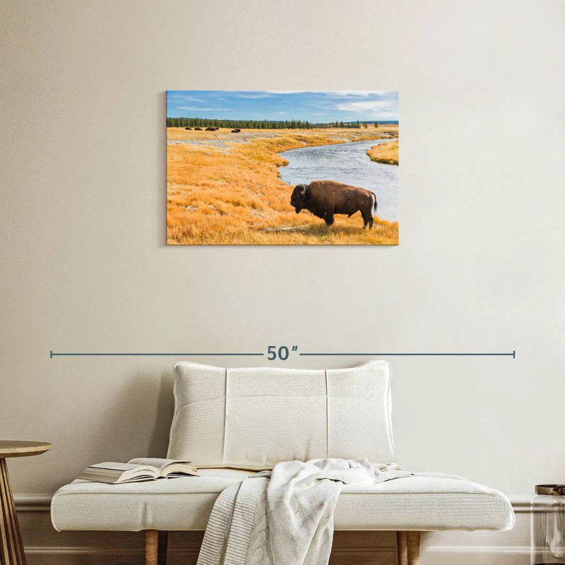 Bison du parc national Brampt, H 20 po x l 30 po