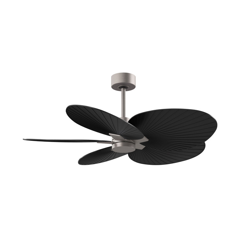 Alessandra - Ventilateur de plafond à cinq pales, Noir mat, Nickel brossé