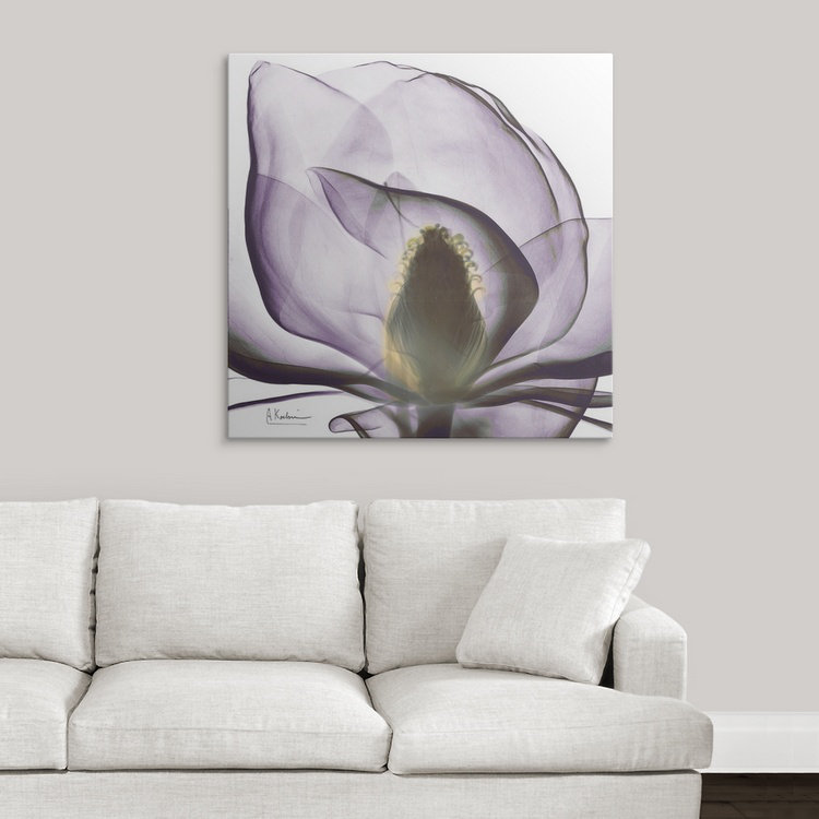 "Manigault" Magnolia X-Ray par Kiranjit, reproduction de photo, H 20 po x l 20 po x P 1,5 po, Toile