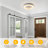 12.20" LED Dimmable Flush Mount