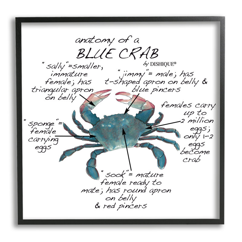 Crab Anatomy Facts, Giclée encadrée noir minuit, H 17 po x l 17 po x P 1,5 po