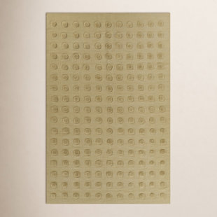 Wool Indoor Rug