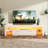 TV Stand with LED Lights