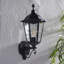 Shanghai 49cm H Outdoor Wall Lantern