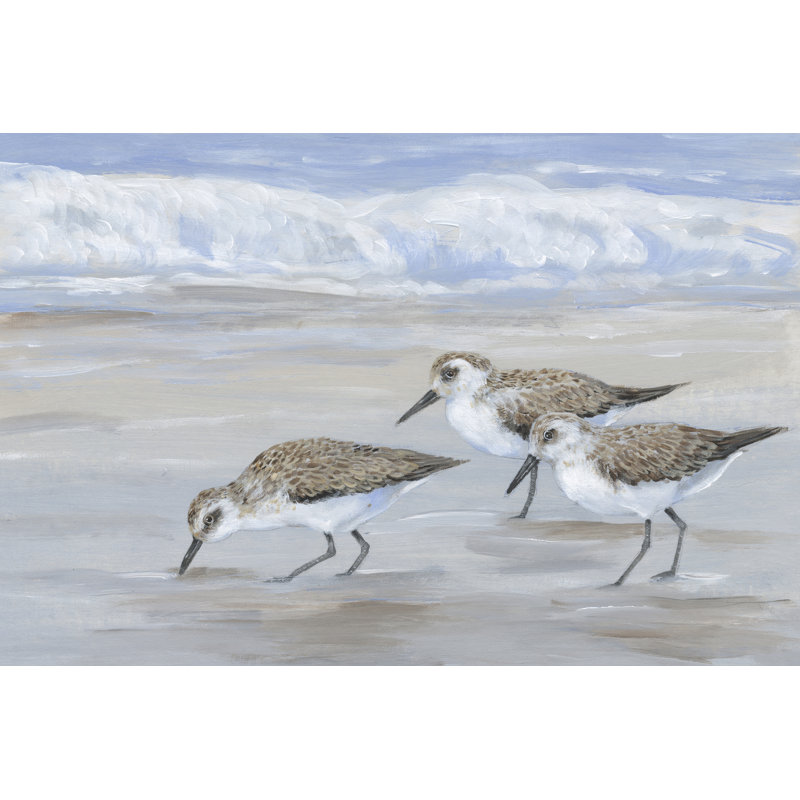 Sandpipers II - Painting, 81 cm H x 122 cm W, Black Floater Frame