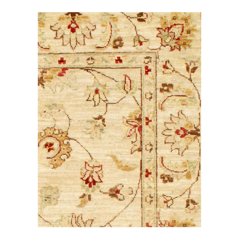 Shandrea Hand Woven Cotton and Wool Oriental Area Rug