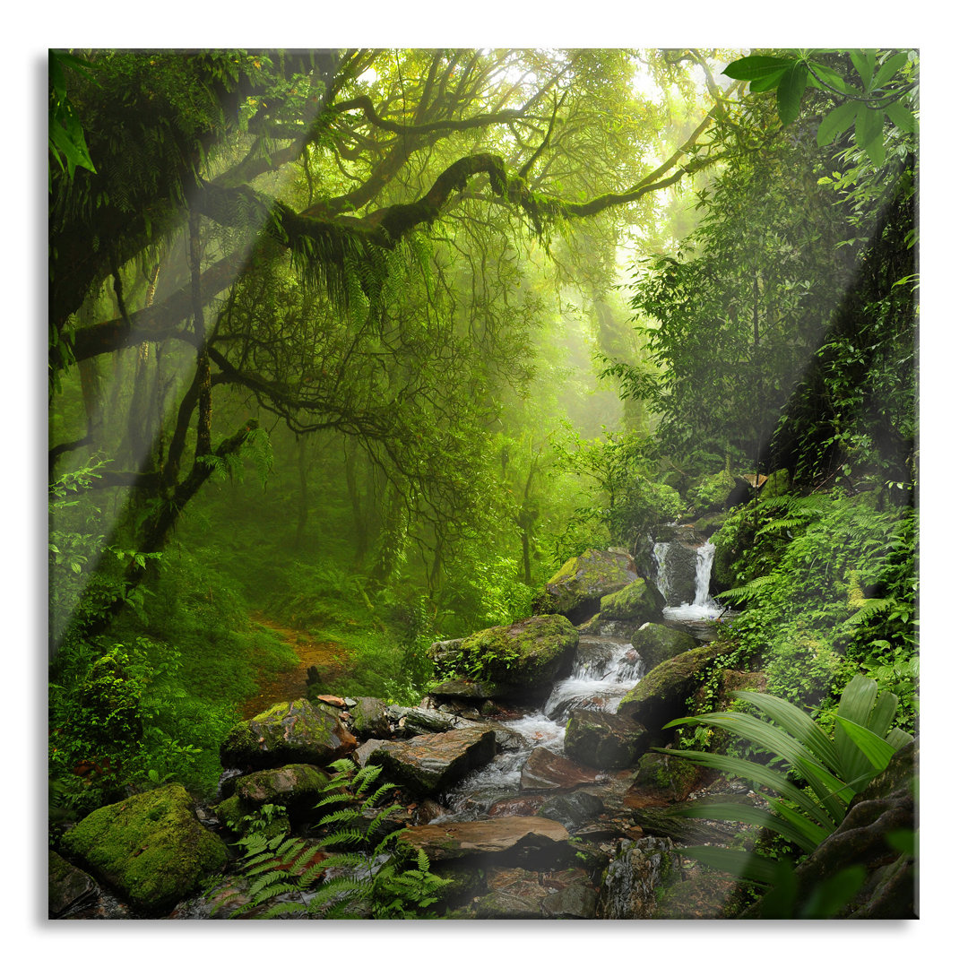 Glasbild Kleiner Wasserfall im Dschungel