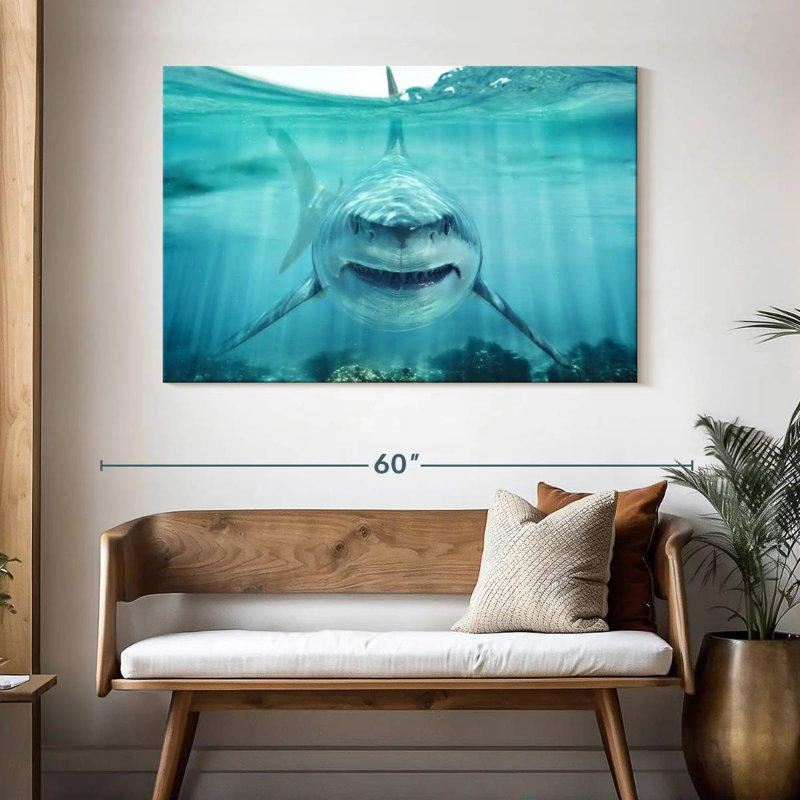 Requin blanc Brampt, H 32 po x l 48 po