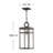 1 -Bulb 19" H Outdoor Hanging Lantern By Lisa McDennon-717187921