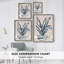 Marine Plant Sketches III, reproduction encadrée - bois massif-1421021701