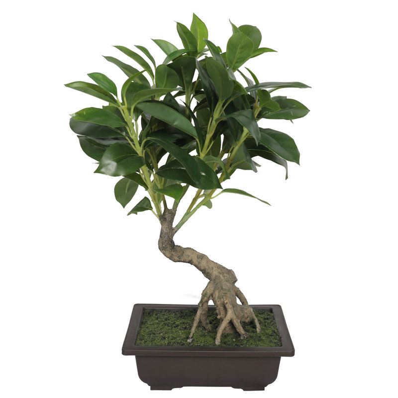 Bonsaï artificiel 18 po en pot